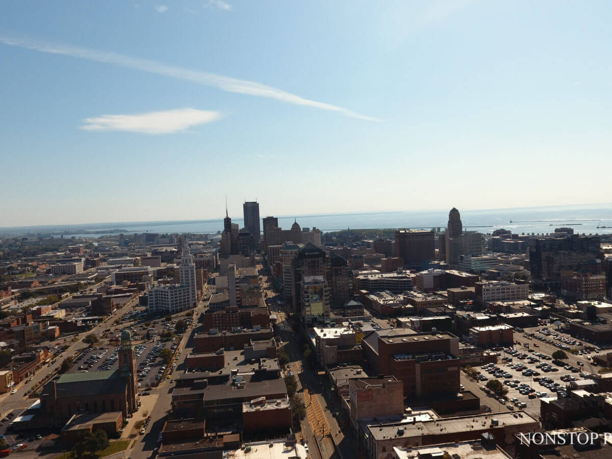 Buffalo #2