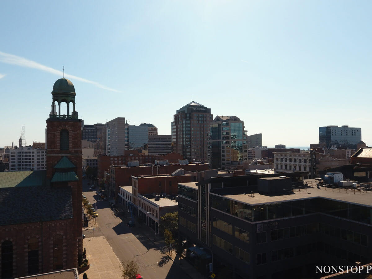 Buffalo #1